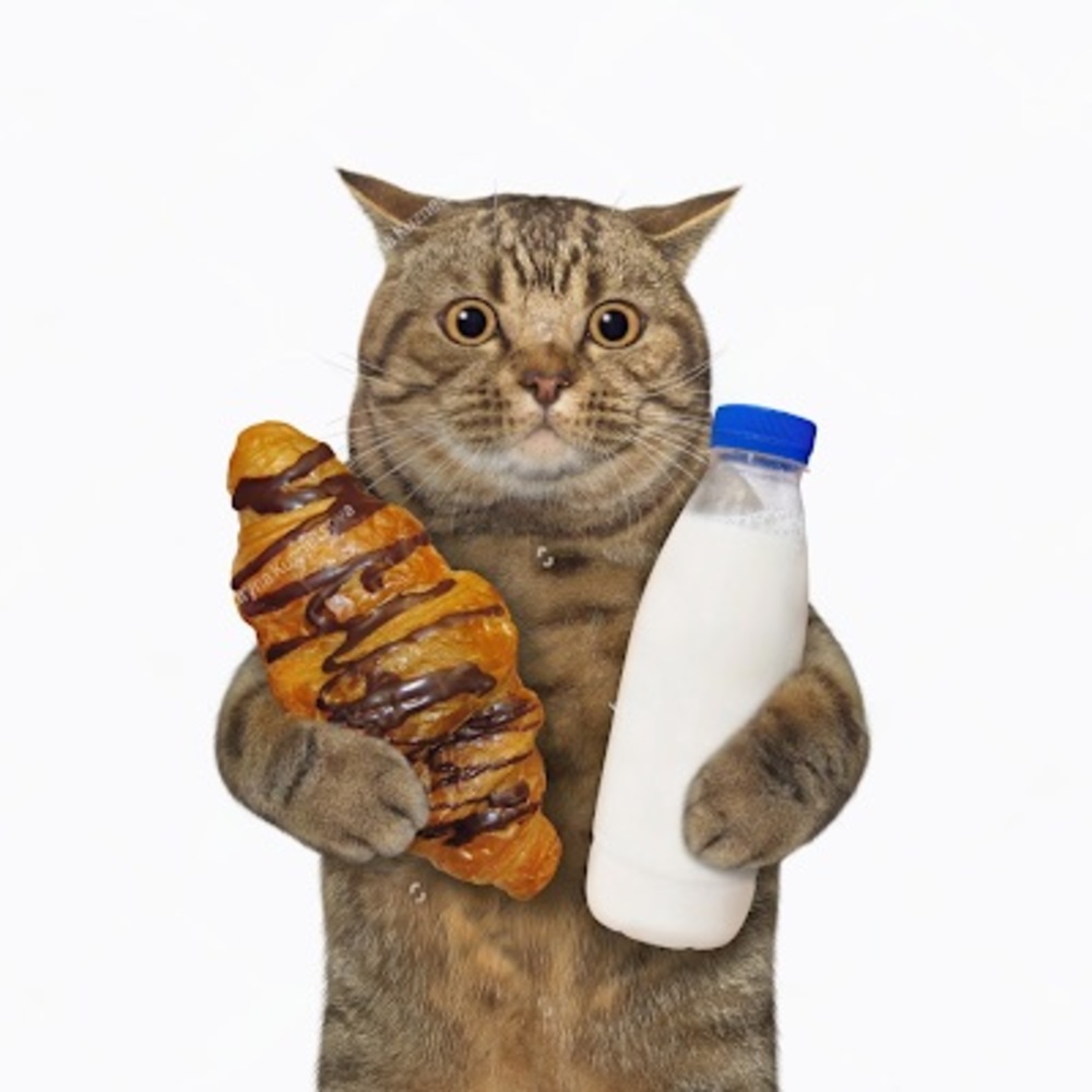 Meet your Posher, Penny